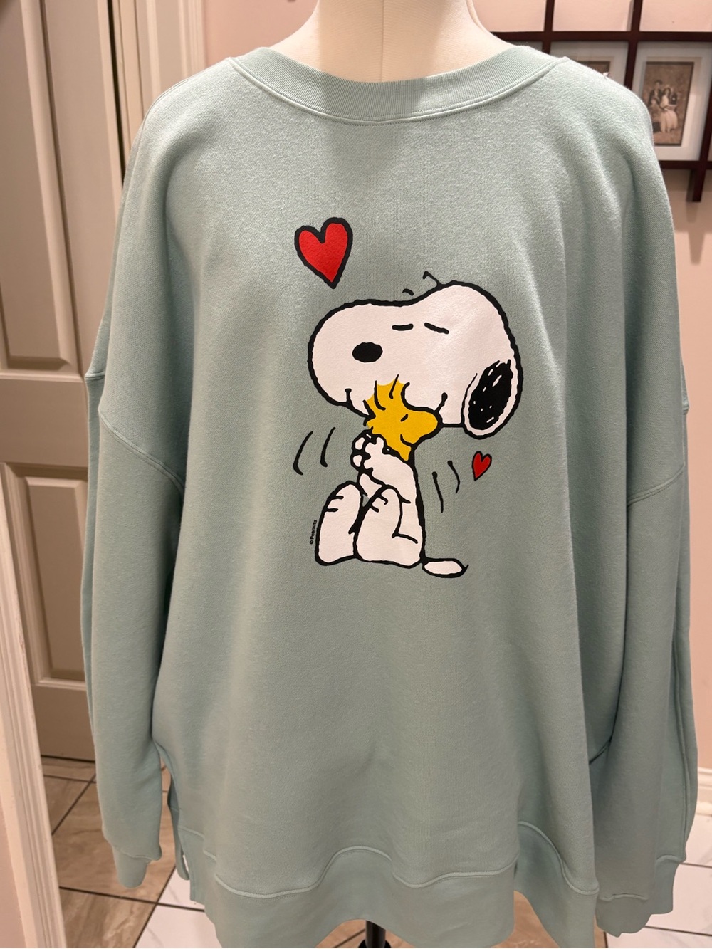 ADORABLE! NWT HUGGING SNOOPY SWEATSHIRT! L